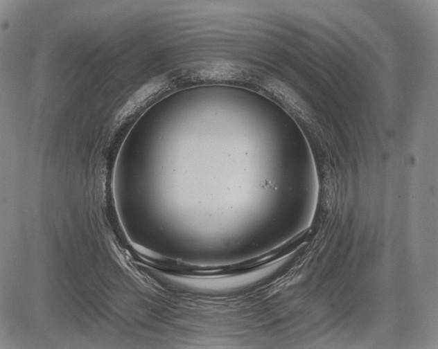 X0000085210446200703161223