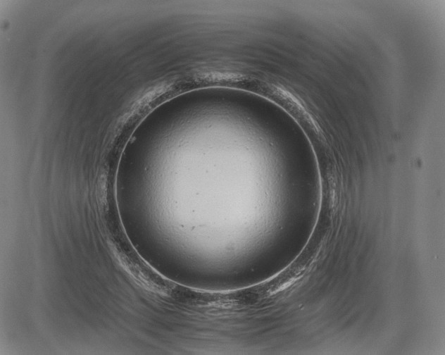 X0000085210447200703161223