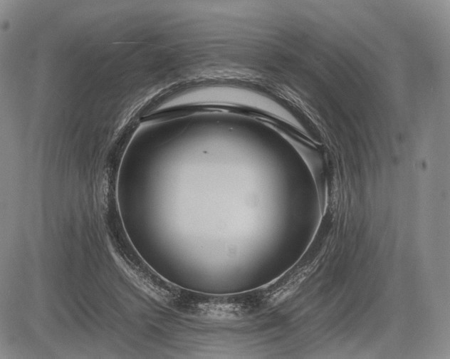 X0000085210448200703161223