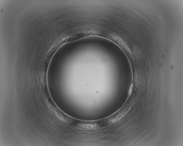 X0000085210449200703161223