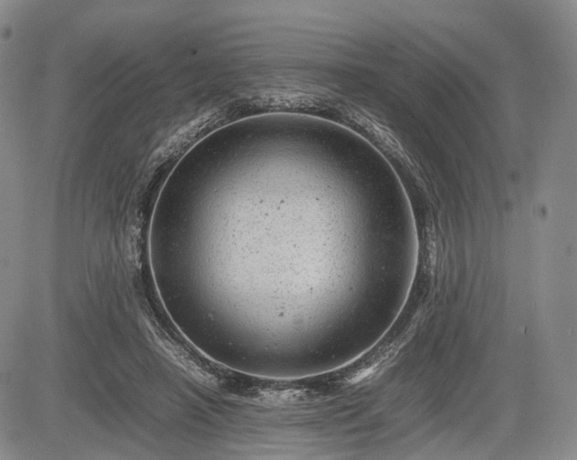 X0000085210450200703161223