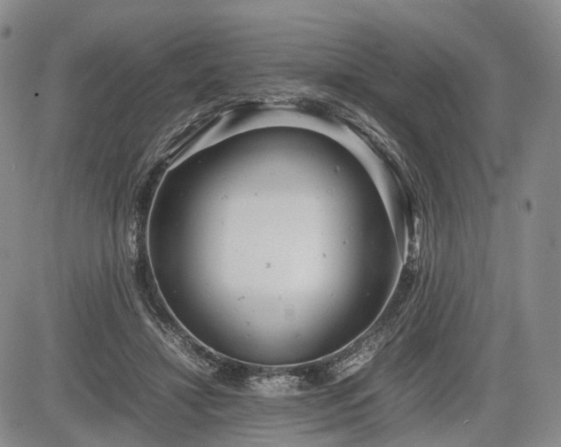 X0000085210452200703161223