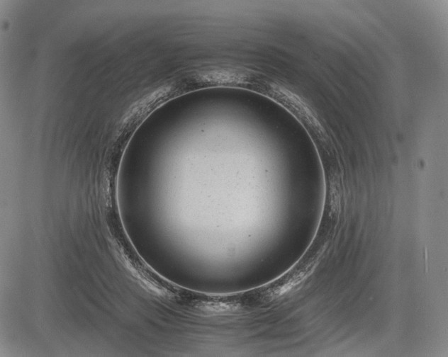 X0000085210453200703161223