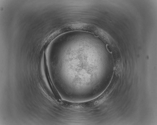 X0000085210454200703161223