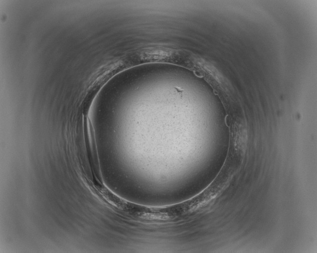 X0000085210455200703161223