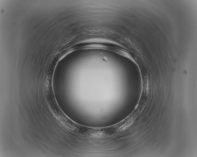 X0000085210456200703161223