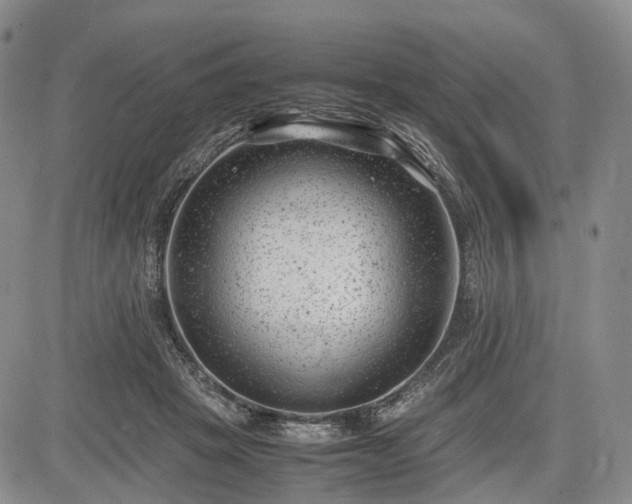 X0000085210457200703161223