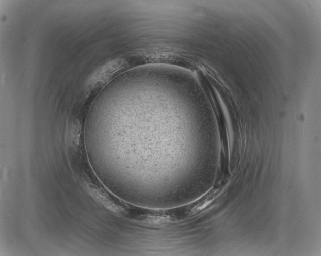 X0000085210458200703161223