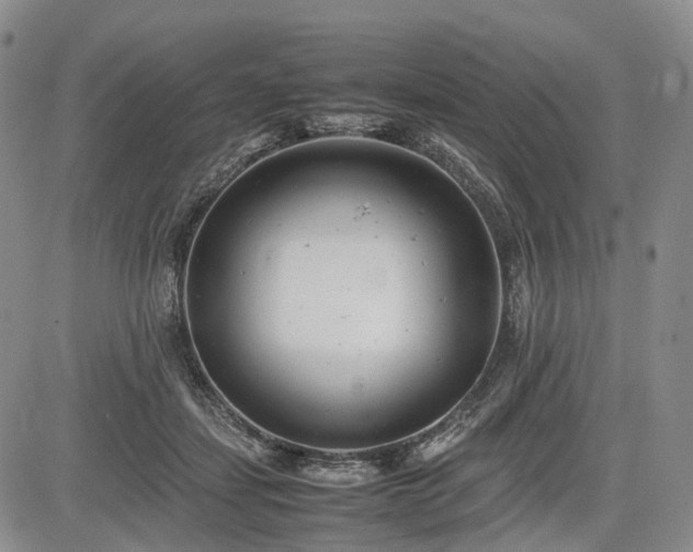 X0000085210459200703161223