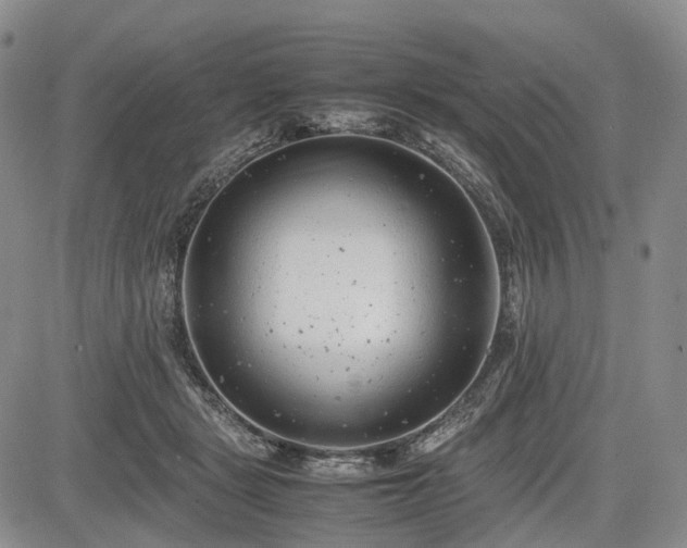 X0000085210461200703161223