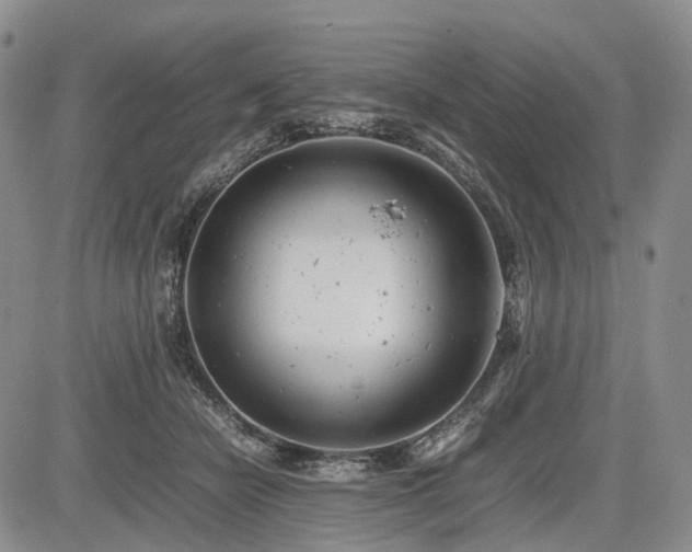 X0000085210462200703161223