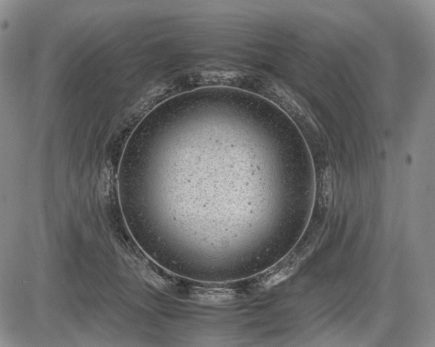 X0000085210463200703161223