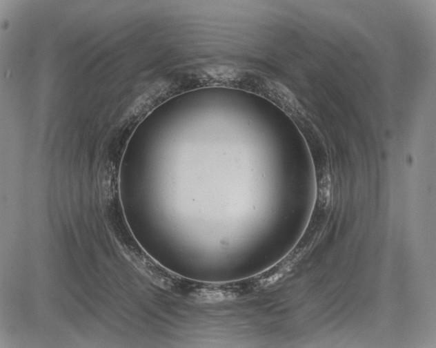 X0000085210464200703161223