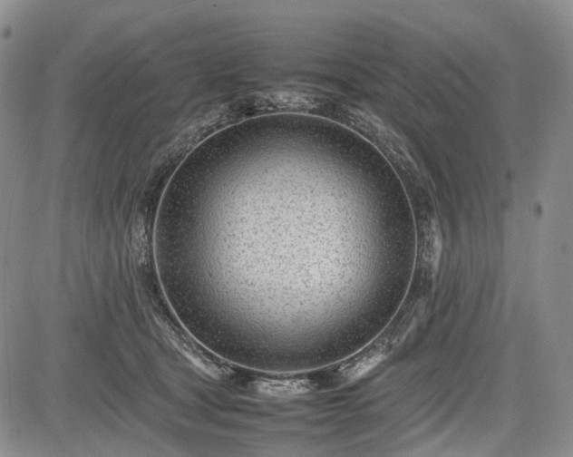 X0000085210465200703161223