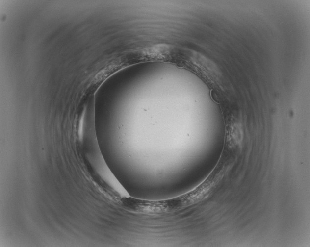 X0000085210466200703161223