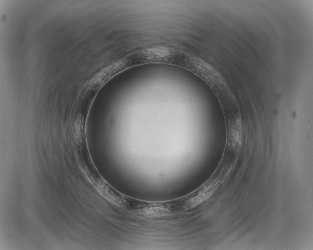 X0000085210468200703161224