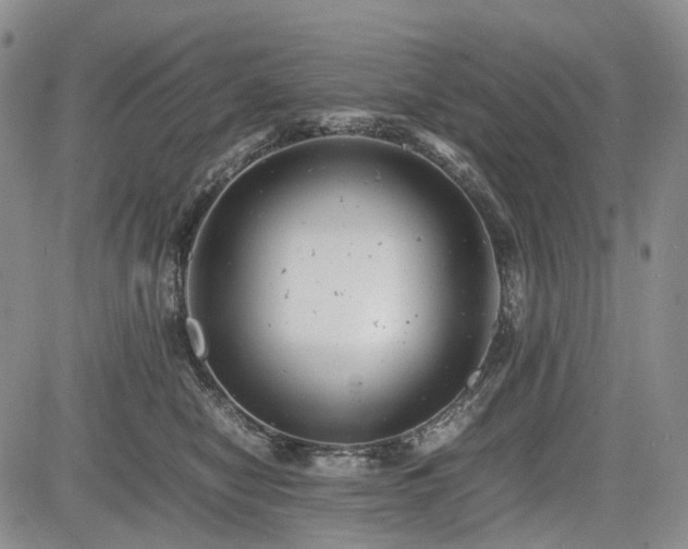 X0000085210470200703161224