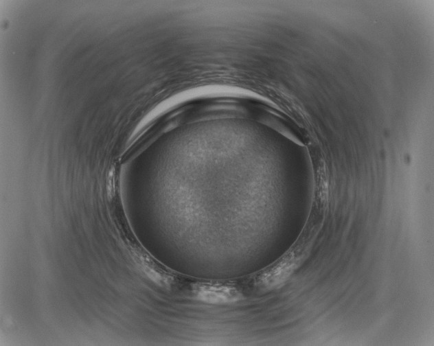 X0000085210471200703161224