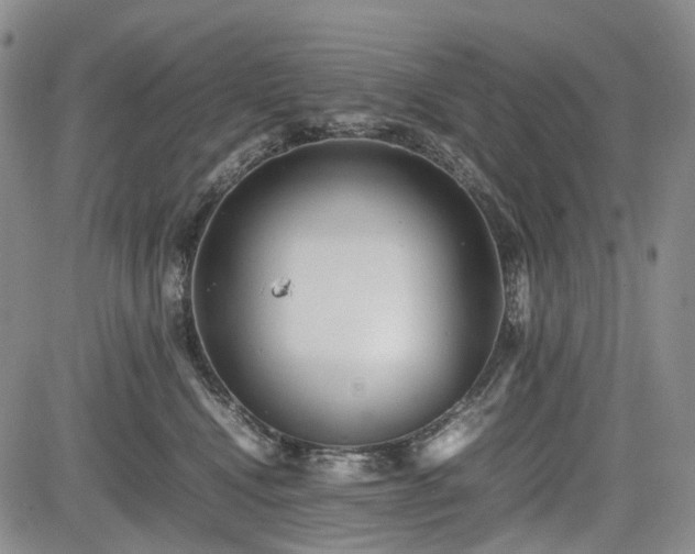 X0000085210472200703161224