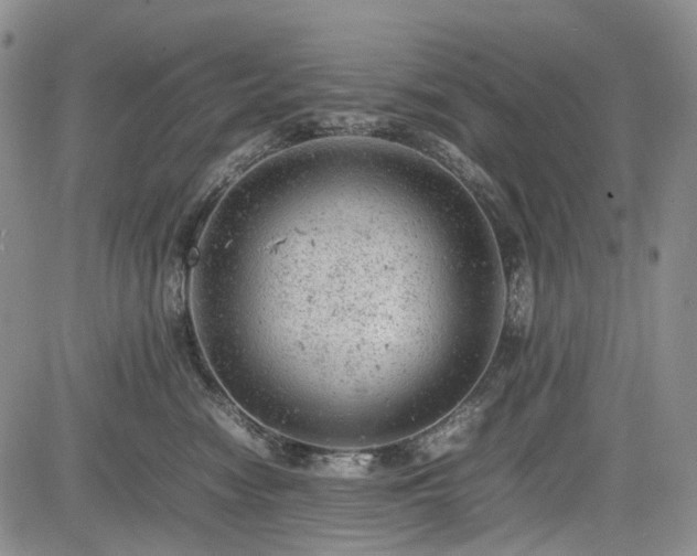 X0000085210474200703161224