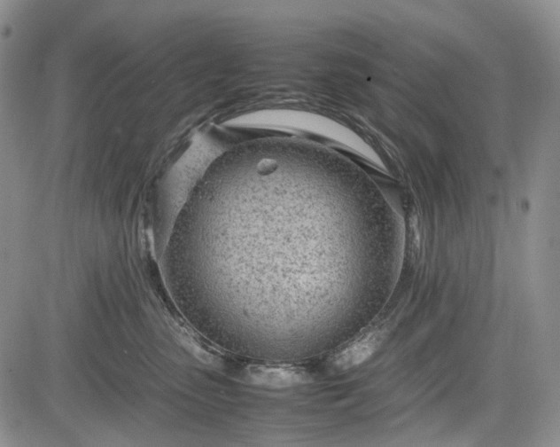 X0000085210475200703161224