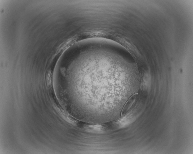 X0000085210478200703161224