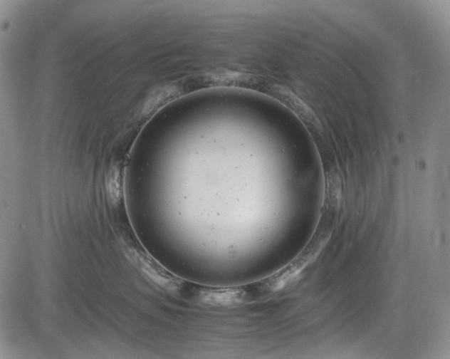 X0000085210479200703161224