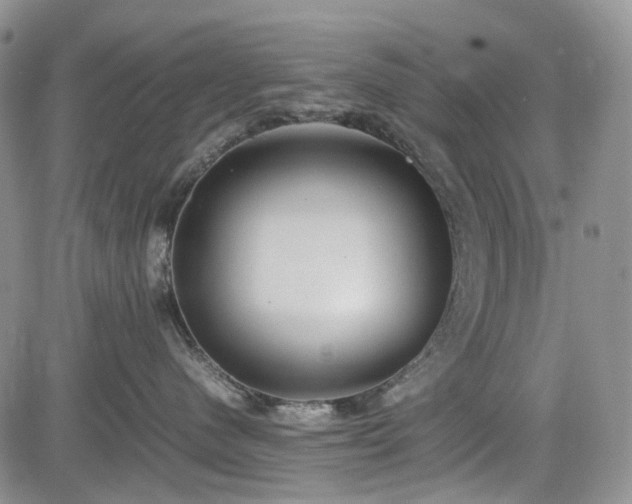 X0000085210480200703161224