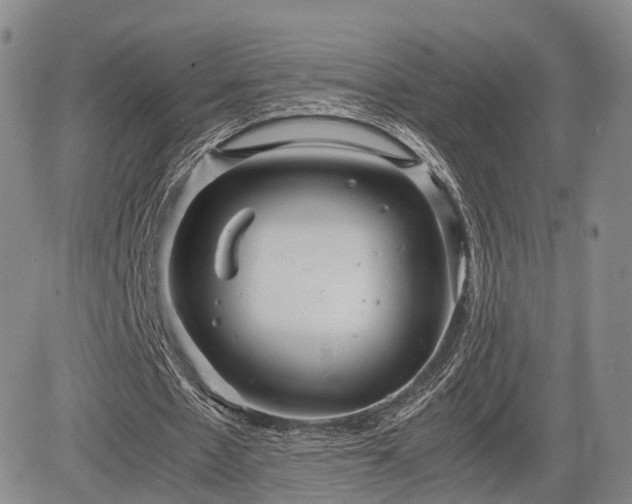 X0000085210481200703161223