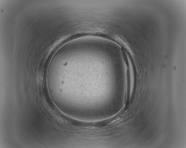 X0000085210483200703161223