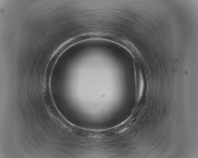 X0000085210484200703161223