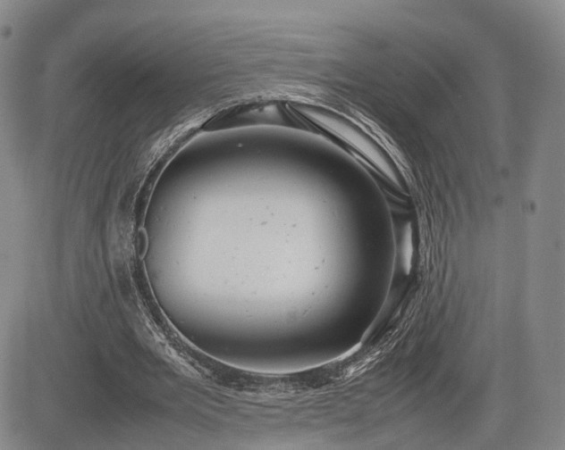 X0000085210485200703161223