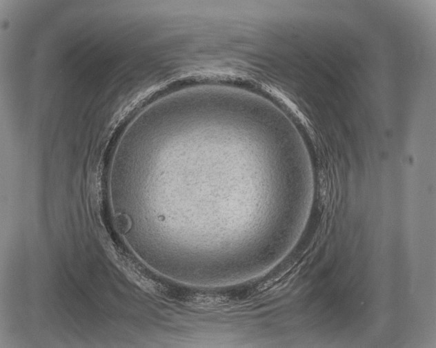 X0000085210487200703161223