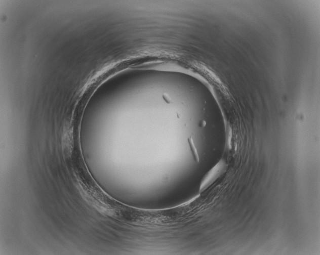 X0000085210488200703161223