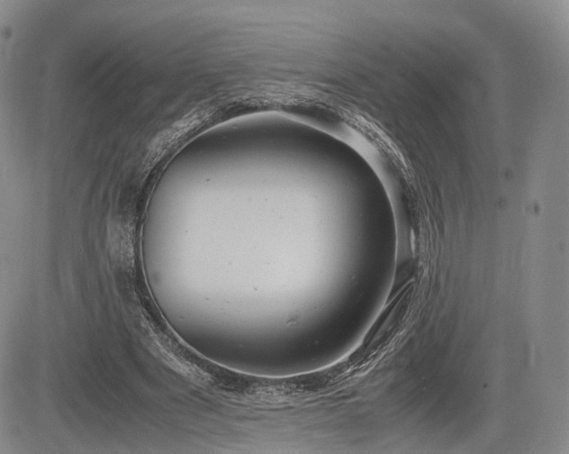 X0000085210489200703161223