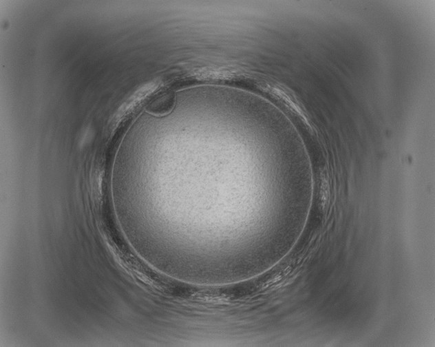 X0000085210491200703161223