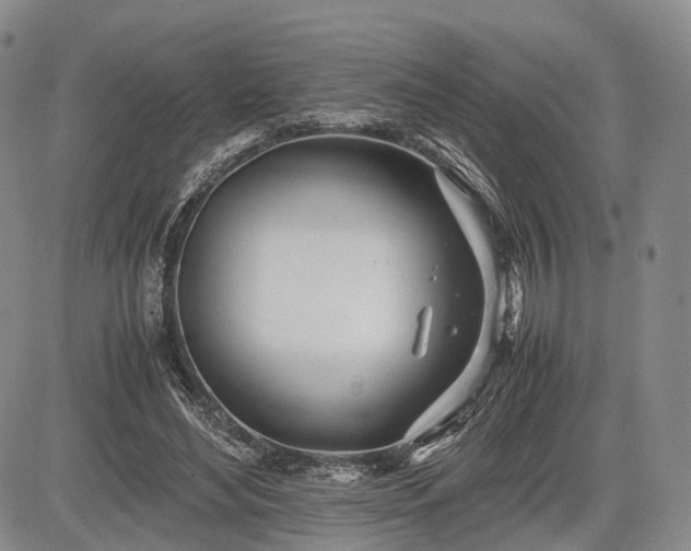 X0000085210492200703161223