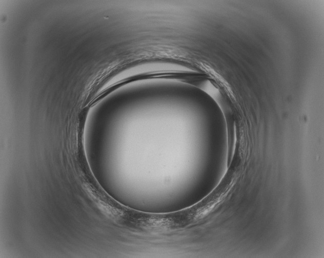 X0000085210493200703161223