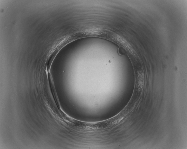 X0000085210494200703161223