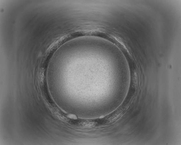 X0000085210495200703161223