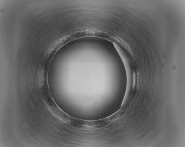 X0000085210496200703161223