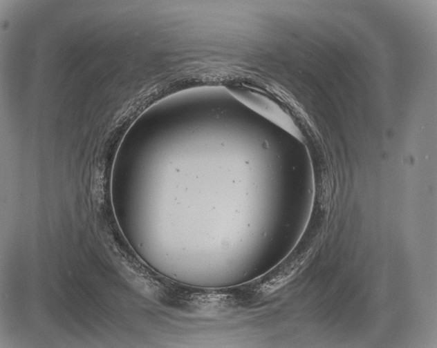 X0000085210497200703161223