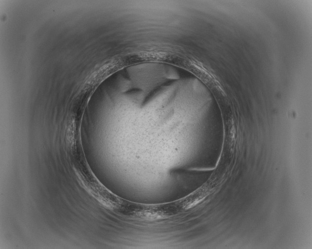 X0000085210498200703161223