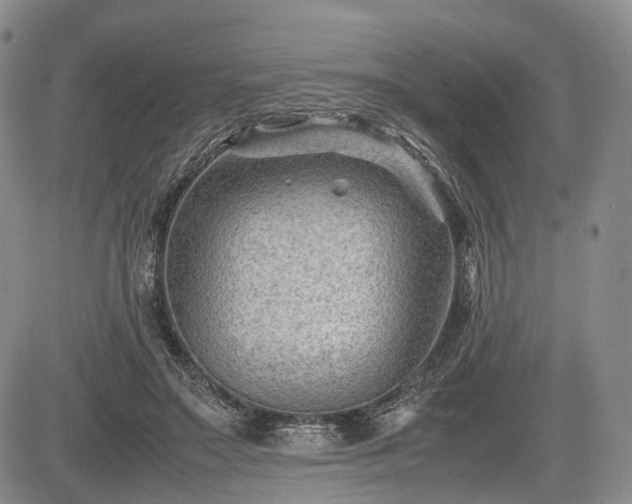 X0000085210499200703161223