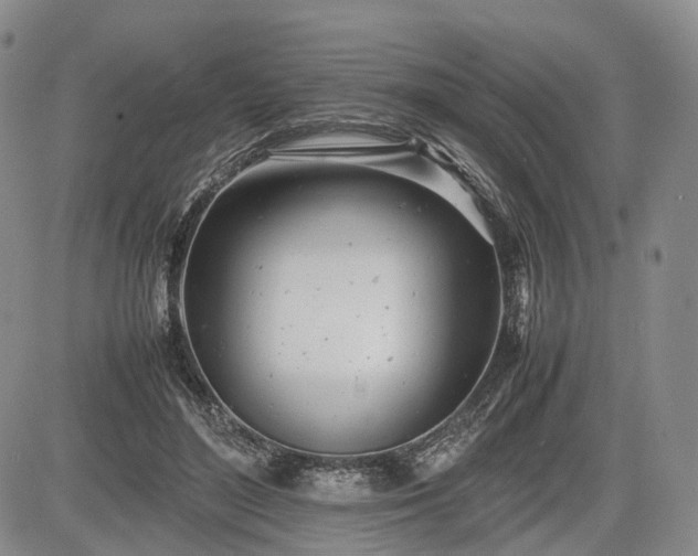 X0000085210500200703161223