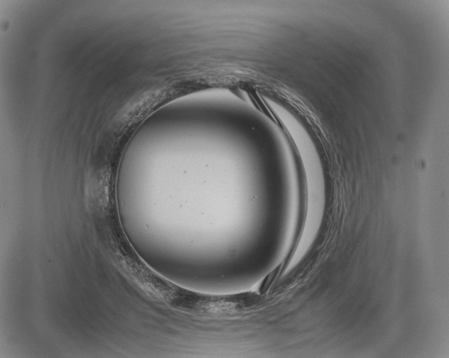 X0000085210501200703161223