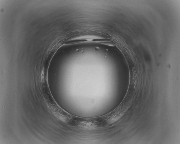 X0000085210502200703161223