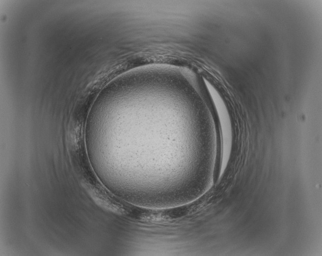 X0000085210503200703161223