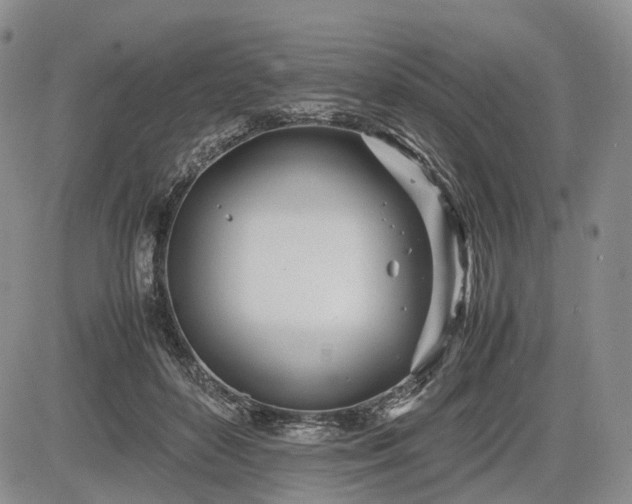 X0000085210504200703161223