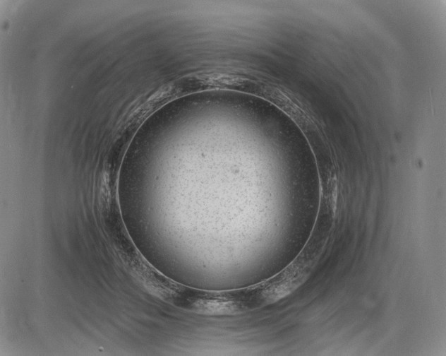 X0000085210506200703161222